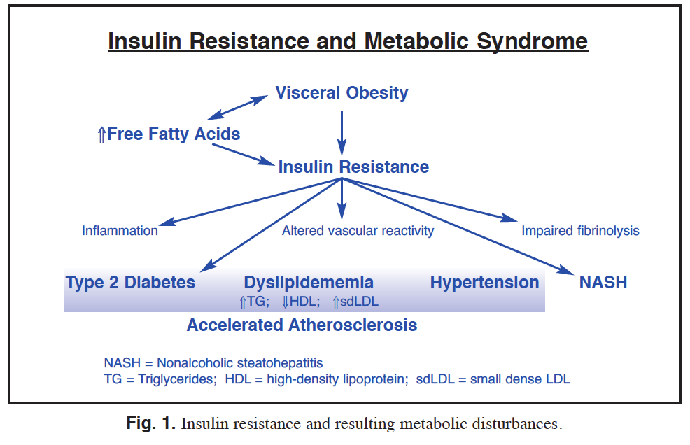 Insulin Resistance : Metabolic Syndrome