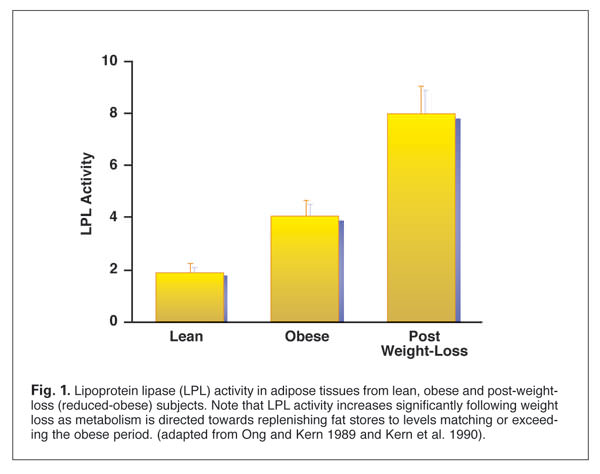 LPL activity in adipose tissues