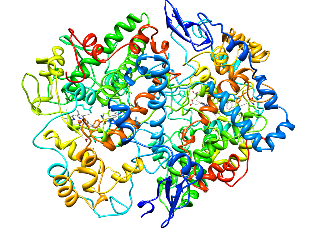 Cyclooxygenase-2