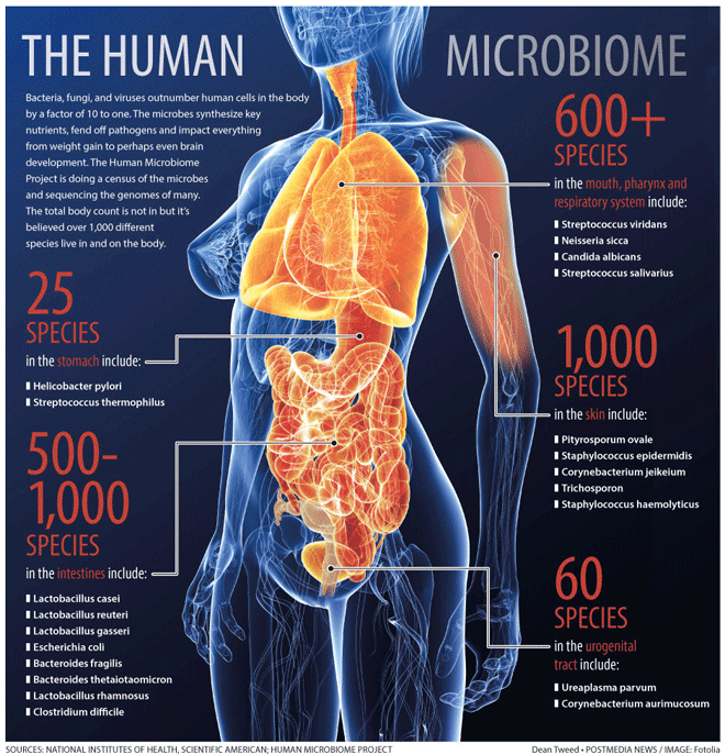 microbiome_preview_660px