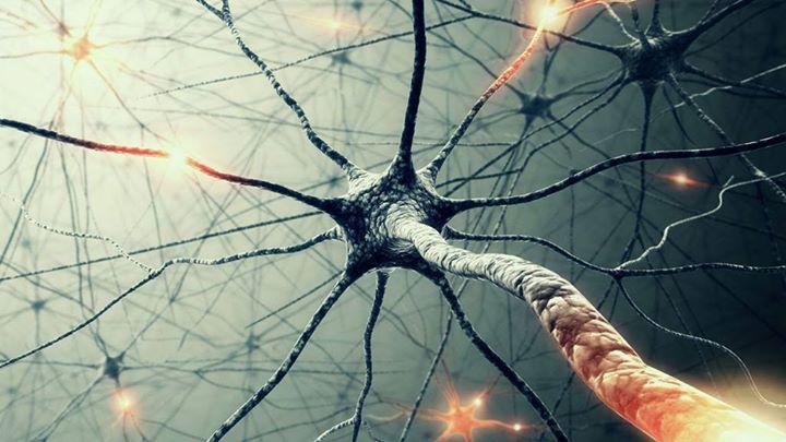 Neurons alzheimers