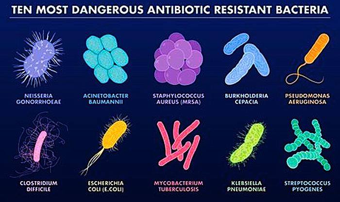 resistantbacteria