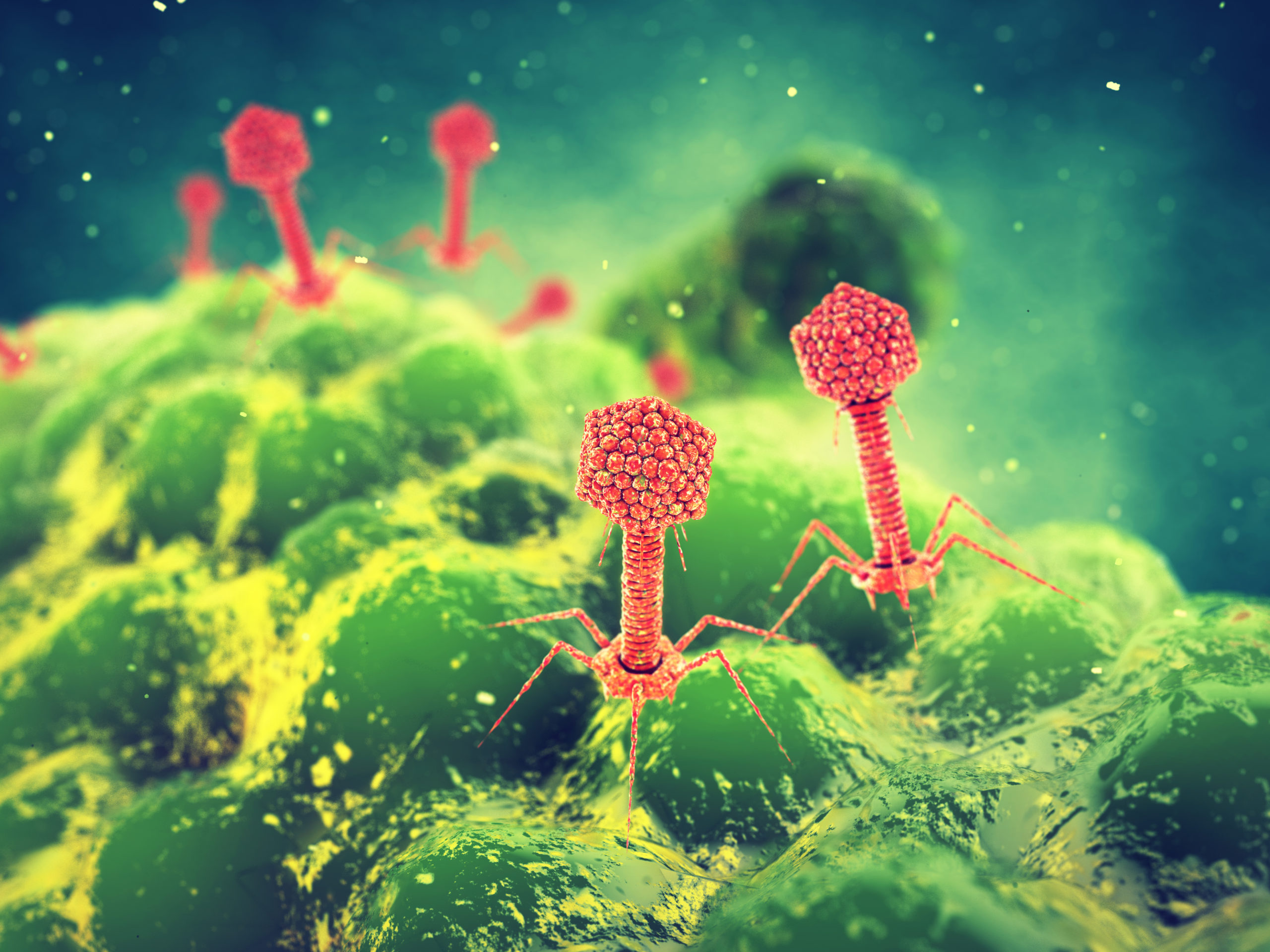 Bacteriophage Viruses Attacking Bacteria Infectious Disease 3d
